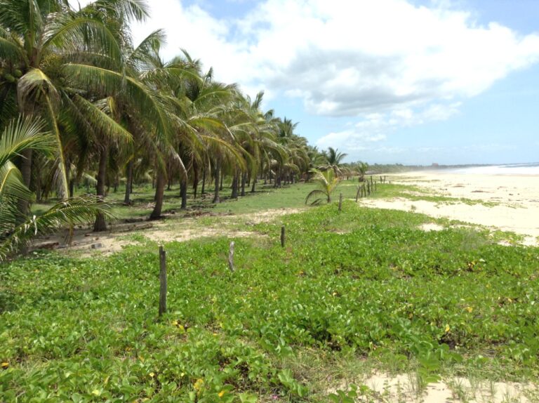 Playa Larga Zihuatanejo