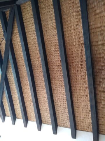 Palapa roof Troncones