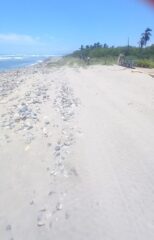 Frente de playa