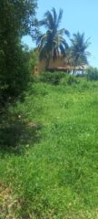 Lote 13