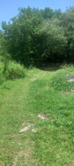 Lote 14 atras