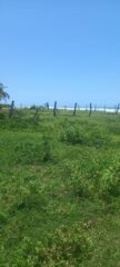 Lote 14 mirando Sur