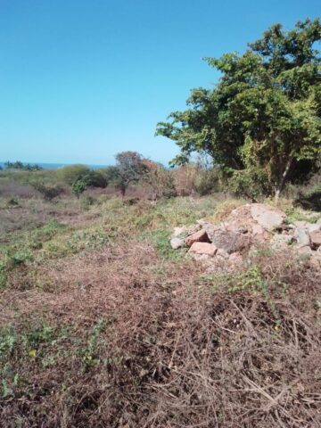 L6-7Troncones-photo2