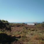 Troncones Beach L 6-7 L6-7Troncones-photo4