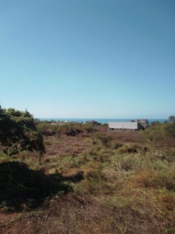 L6-7Troncones-photo4