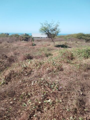 L6-7Troncones-photo5