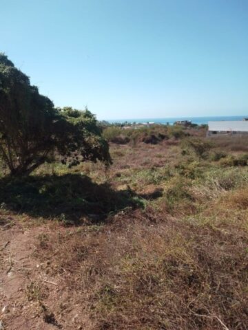 L6-7Troncones-photos8