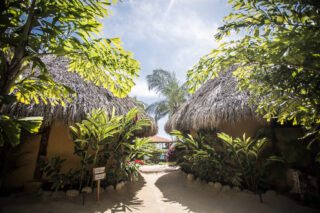 Troncones BeachPMR 024