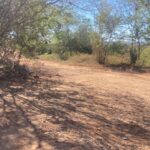 Troncones Hillside Lots G1-G2 TronconesLotsG1-G2 000