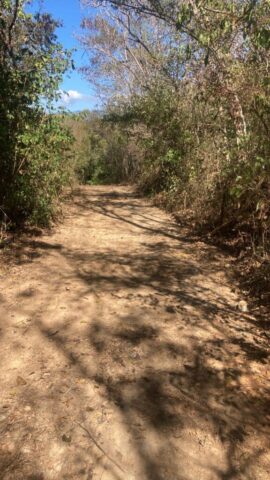 TronconesLotsG1-G2 003