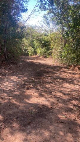 TronconesLotsG1-G2 006