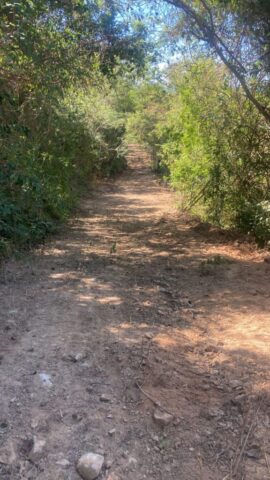 TronconesLotsG1-G2 009