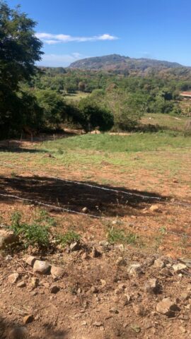 TronconesLotsG1-G2 012