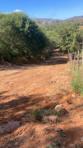 TronconesLotsG1-G2 015