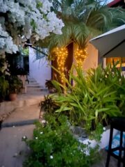 Walkway evening lights