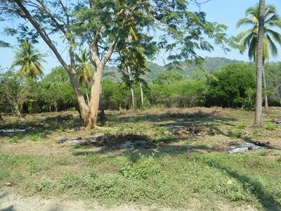 Lote 31 en venta, Playa Buena Vista